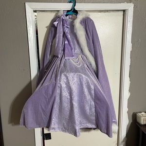 Purple princess dress